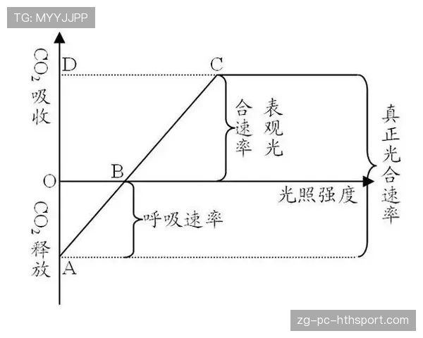 净效率值的统治力：百回合赢对手十几分就是王朝，净速率是什么意思